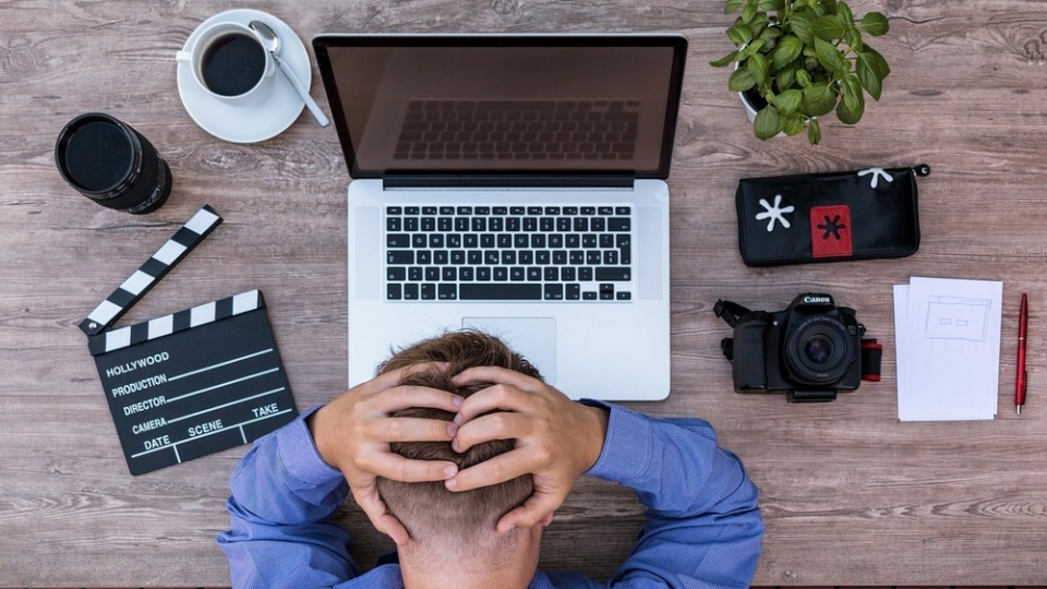 Coping Strategies for IT Professionals in the Face of Job Demands