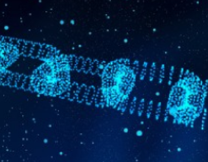 Overview of Cryptocurrency and Blockchain Technology